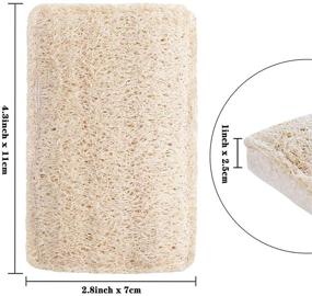 img 2 attached to Wangda.G 6 Pack Natural Loofah Kitchen Sponges - Eco-Friendly Reusable Dish Sponges and Scrubbers for Dishes, Luffa Sponges for Washing Dishes - Ideal for Dishwashing