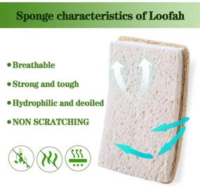 img 1 attached to Wangda.G 6 Pack Natural Loofah Kitchen Sponges - Eco-Friendly Reusable Dish Sponges and Scrubbers for Dishes, Luffa Sponges for Washing Dishes - Ideal for Dishwashing