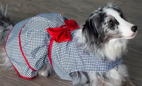 img 3 attached to 👗 Elegant Dog Clothes for Pretty Dogs - Girl Dog Dress