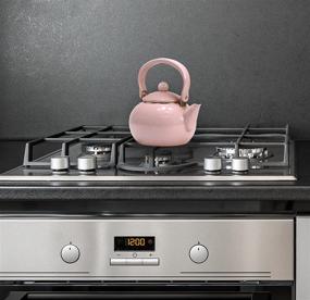 img 1 attached to 🌸 Reston Lloyd Pink Enamel Teakettle: Non-Whistling, 2 Quart - A Perfect Blend of Style and Functionality
