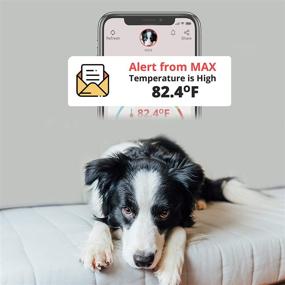 img 1 attached to Wireless RV/Dog Temperature & Humidity Sensor with 4G Verizon Cellular, 24/7 Email/SMS Alerts, No WiFi Needed | iOS/Android Compatible