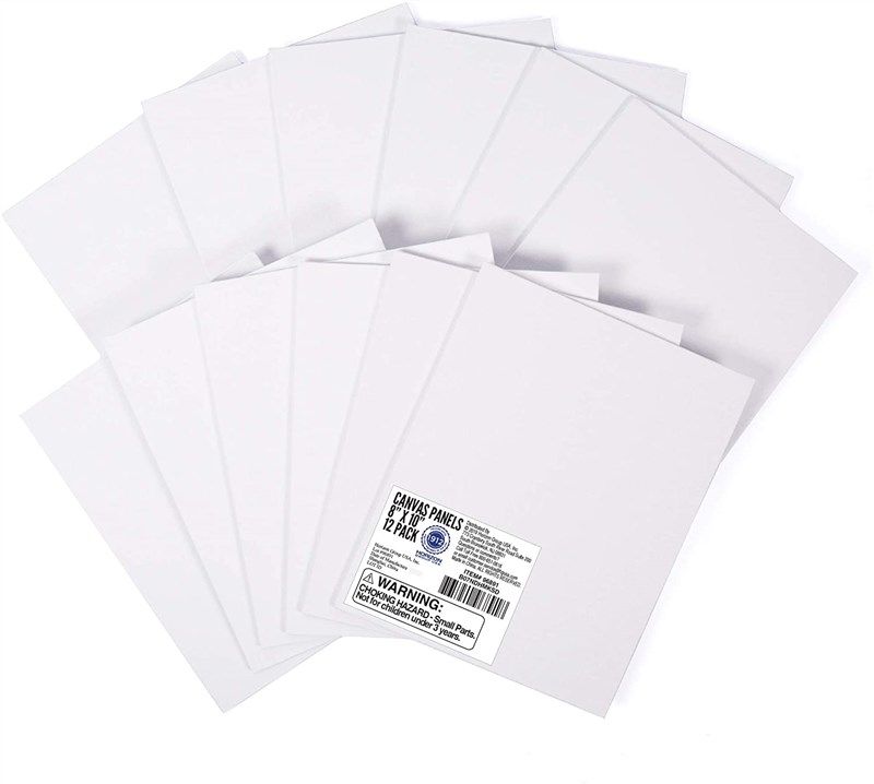 Horizon Group USA 8x10 Canvas Panel Boards Value Pack of 12, Primed,  Perfect for Painting Projects, Watercolor, Oil & Acrylic Paints, Paint  Canvas for