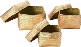 img 1 attached to Creative Co Op Hand Woven Seagrass Baskets