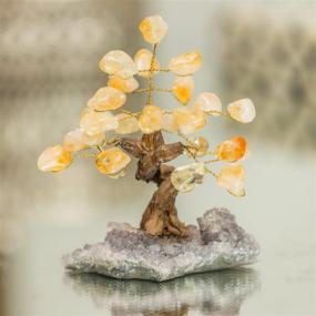 img 3 attached to 🌳 Gemspire Crystal Tree: Citrine Polished Leaves & Amethyst Rock Cluster Base - Natural Money Tree Decor - Handmade Feng Shui Chakra Tree - Artificial Bonsai Money Tree - Approx. 4.5-5.5 inches Tall