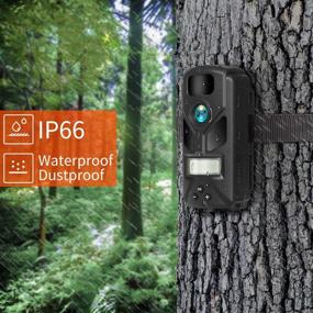 img 1 attached to 📷 Камера высокого разрешения для трекинга: 20МП 1080P с ночным видением, активированным движением, водонепроницаемая охотничья камера с 44 светодиодами ИК - идеально подходит для мониторинга дикой природы на открытом воздухе и для домашней безопасности.