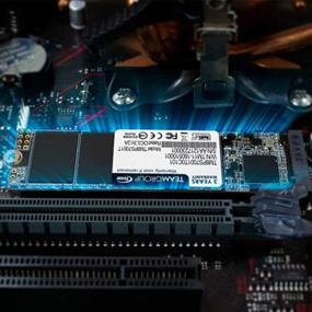 img 1 attached to Команда MS30 256 ГБ M.2 2280 SATA III SSD - SLC кэш, 3D NAND TLC, скорость чтения/записи 500/400 МБ/с - Совместим с ноутбуком и ПК TM8PS7256G0C101.
