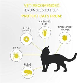 img 2 attached to 🐱 SOBAKEN Natural Flea and Tick Prevention Collar for Cats – One Size Fits All (13-inch), Charity Included