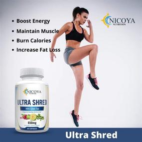 img 1 attached to 🍃 Nicoya Nutrition Ultra Shred - Зеленый чай, сжигающий жир, регулирующий обмен веществ и подавляющий аппетит, идеальный для мужчин и женщин