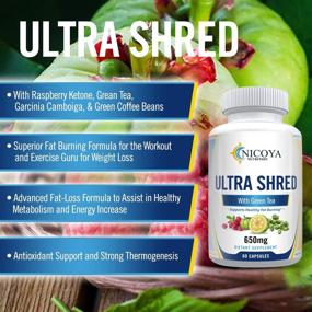 img 3 attached to 🍃 Nicoya Nutrition Ultra Shred - Зеленый чай, сжигающий жир, регулирующий обмен веществ и подавляющий аппетит, идеальный для мужчин и женщин