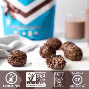 img 1 attached to Iconic Chocolate Truffle Protein Powder – Sugar-Free & Low Carb, Lactose-Free & Gluten-Free, Non-GMO – Contains 20g Grass-Fed Whey & Casein Protein – Keto-Friendly, 1 lb. Pouch (17 Servings)