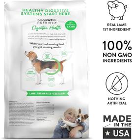 img 3 attached to 🐶 DogsWell Nutrisca Digestive Health Dry Dog Food: Protein-packed Lamb, Brown Rice & Egg Recipe for Optimal Digestion