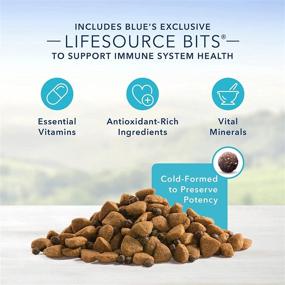 img 1 attached to 🐶 Premium Blue Buffalo Life Protection Formula: Nourishing Natural Adult Large Breed Dry Dog Food