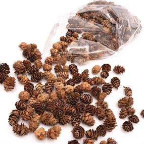 img 4 attached to 🌸 Enhance Your Decor with Floral Fantasy Spruce Pine Cones Vase Fillers - Brown Pine Cones: Perfect for Table Scatter, Crafts & More! (8-Ounce, Natural)