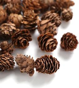 img 2 attached to 🌸 Enhance Your Decor with Floral Fantasy Spruce Pine Cones Vase Fillers - Brown Pine Cones: Perfect for Table Scatter, Crafts & More! (8-Ounce, Natural)