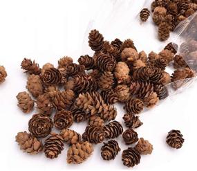 img 1 attached to 🌸 Enhance Your Decor with Floral Fantasy Spruce Pine Cones Vase Fillers - Brown Pine Cones: Perfect for Table Scatter, Crafts & More! (8-Ounce, Natural)