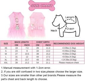 img 3 attached to SunteeLong Pet Dog Dress Clothes: Pink Plaid Princess Dog Skirt with Leash and Sweetie Bowknot- Ideal for Small Dogs, Cats, and Puppies!