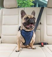 🐶 petsafe happy ride deluxe car harness for dogs - adjustable sizes, includes seat belt tether and ideal for safe travel logo