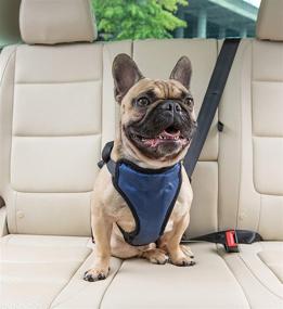 img 4 attached to 🐶 PetSafe Happy Ride Deluxe Car Harness for Dogs - Adjustable Sizes, Includes Seat Belt Tether and Ideal for Safe Travel