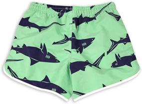 img 3 attached to Wave Green Women's Clothing and Swimsuits: Women's Shorts with Fabric Trunks