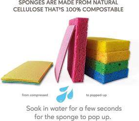 img 1 attached to 🧽 EPLANITA Pop-Up Sponges (10 Pack): Natural Cellulose, Compostable, Scratch-Free Cleaning for Kitchen & Bathroom, Washing Up, Eco Scrub, DIY Crafts