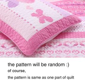img 1 attached to 🌸 Cozy Line Home Fashions 100% Cotton Lightweight yet Warm Queen Bedding Quilt Set in Pink Butterfly Stripe Hearts Design (3 Piece)