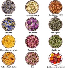 img 3 attached to 🌸 Mlife Natural Dried Flower Herbs Kit - 180g Dried Flower for Soap, Candle, Resin Jewelry Making, Bath Bombs, Floral Water, Nails Decorations - Rose, Lavender, Jasmine, and more! (12 Bags / 0.5 oz Each)
