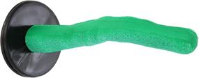 img 1 attached to 🐦 Sweet Feet & Beak Safety Pumice Perch Bird Toys - Promoting Healthy Feet with Pumice - Parrot Toys - Safe & Non-Toxic Pet Supplies & Accessories for Bird Cages (Small, Green)