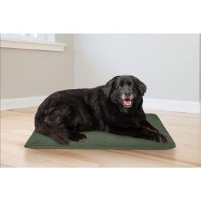 img 1 attached to 🐾 Furhaven Orthopedic Pet Bed for Dogs and Cats - 2-Inch Foam Terry and Oxford Crate or Kennel Dog Bed Mat Cushion with Removable Washable Cover, Large, Forest