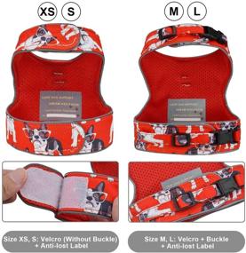 img 3 attached to 🐾 Anbeer Red-XS Cat and Puppy Escape Proof Harness with Reflective Strap – Adjustable Vest and 5FT Leash for Small Cats