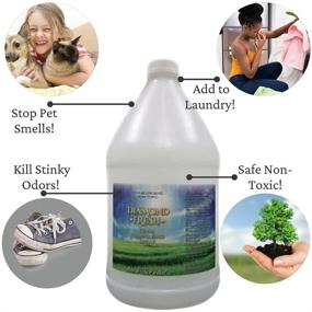 img 2 attached to Diamond Fresh Odor Eliminator: The Ultimate Solution to Stop Smells & Kill Odors 💎 from Pets, Including Urine! Clear Formula, Non-Scented & Safe for All. Neutralize, Deodorize & Eliminate Odors!