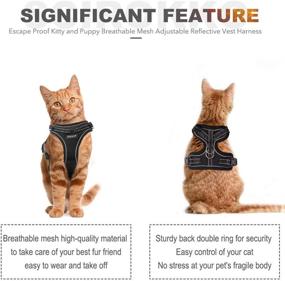 img 1 attached to 🐱 SCIROKKO Cat Harness and Leash Set: Escape Proof, Adjustable Outdoor Puppy Harness with Reflective Strap - Soft Mesh, Metal Clip Cat Walking Jacket for Kitten Rabbit