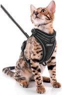 🐱 scirokko cat harness and leash set: escape proof, adjustable outdoor puppy harness with reflective strap - soft mesh, metal clip cat walking jacket for kitten rabbit logo