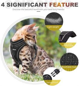 img 2 attached to 🐱 SCIROKKO Cat Harness and Leash Set: Escape Proof, Adjustable Outdoor Puppy Harness with Reflective Strap - Soft Mesh, Metal Clip Cat Walking Jacket for Kitten Rabbit