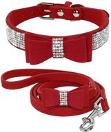 🐾 etopars rhinestone dog collar leashes: sparkling crystal diamond set for small & medium dogs logo