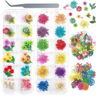 🌸 uoony 2 boxes small dried flowers for nails, 24 colors 3d mini real natural flowers sticker for resin and nail art with tweezers for manicure tips decoration logo