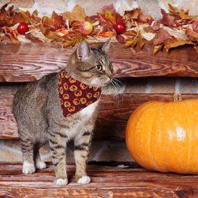 img 3 attached to 🎃 Halloween Cat Collars with Bell, 2 Pack Adjustable Collar w/ Removable Bandana, Pumpkin Pattern Bandana Collar for Kittens & Cats – Breakaway Design