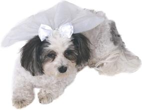 img 3 attached to 👰 Wedding Veil Pet Accessory by Rubie's Costume Company