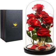 beauty and the beast rose: unique christmas women's gift, romantic and exquisite rose in glass dome with led light – perfect for wedding, anniversary, birthday logo