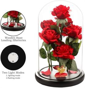 img 3 attached to Beauty and The Beast Rose: Unique Christmas Women's Gift, Romantic and Exquisite Rose in Glass Dome with LED Light – Perfect for Wedding, Anniversary, Birthday