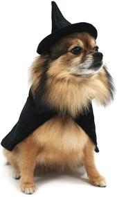 img 1 attached to 🐶 Halloween Witch Dog Costume Set: Midlee Cape and Hat