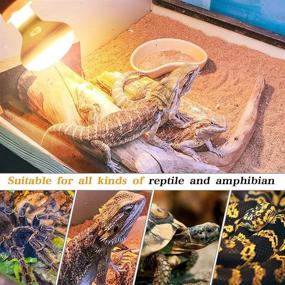 img 2 attached to 100W Soft White UVA Reptile Heat Lamp Bulb for Bearded Dragon & Pet Amphibians - Pack of 2, Infrared Basking Heat Lamps with Glass Turtle Light