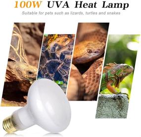 img 3 attached to 100W Soft White UVA Reptile Heat Lamp Bulb for Bearded Dragon & Pet Amphibians - Pack of 2, Infrared Basking Heat Lamps with Glass Turtle Light