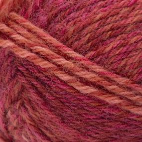 img 1 attached to 🧦 Patons Kroy Socks FX Geranium Yarn, 2-Pack - Vibrant Colors with Pattern Included