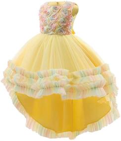 img 2 attached to 👗 High Low Applique Embroidered Girls' Clothing with a Shiny Toddler Twist