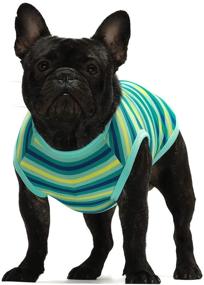 img 3 attached to 🐾 Fitwarm 2-Pack 100% Cotton Striped Dog Shirt: Stylish Pet Clothes for Puppies & Cats - Breathable, Strechy, & Comfortable Tee