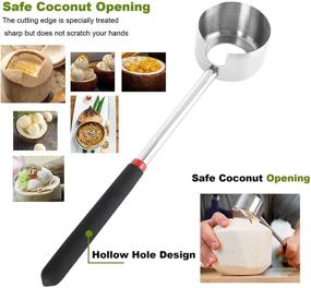 img 1 attached to 🥥 FengWu Coconut Opener - High-Quality Stainless Steel Coco Jack Tool for Young Coconuts - Food Grade Opener Kit with Rubber Mallet