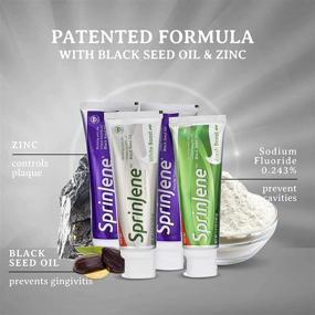 img 1 attached to 🌿 Sprinjene Fresh Boost 5 Oz, 4 Pack: Ultimate Bundle of White and Health Boost Fluoride Toothpaste! Natural Formula with Black Seed Oil, Zinc, Birch Xylitol, and Acacia Gum