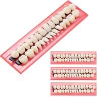 🦷 acrylic resin fake teeth denture set - upper and lower synthetic resin false teeth replacement, 112 pieces, color a2 logo