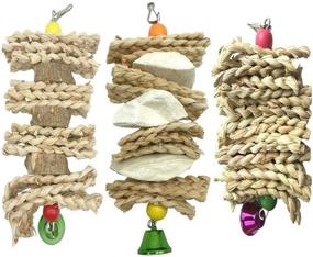 img 4 attached to 🦜 3-Pack Parrot Toys: Cuttle Bone Beak Grinding Hanging Bell Toys for African Greys, Conures, Budgies, and More!