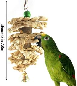 img 1 attached to 🦜 3-Pack Parrot Toys: Cuttle Bone Beak Grinding Hanging Bell Toys for African Greys, Conures, Budgies, and More!